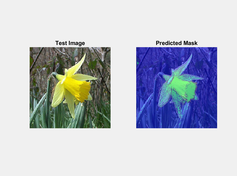 Segmentation visualized test